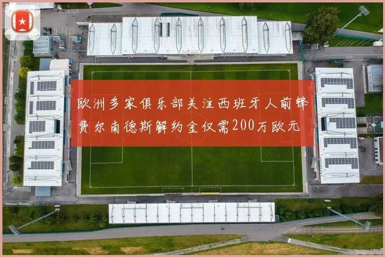 欧洲多家俱乐部关注西班牙人前锋费尔南德斯解约金仅需200万欧元