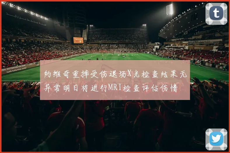 约维奇重摔受伤退场X光检查结果无异常明日将进行MRI检查评估伤情