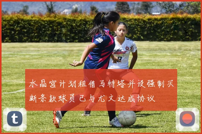 水晶宫计划租借马特塔并设强制买断条款球员已与尤文达成协议